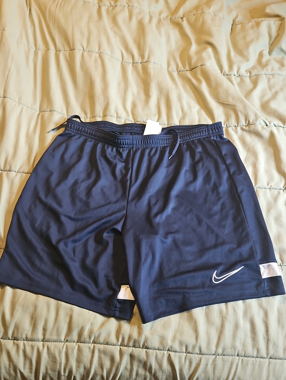 Nike Men's Large Shorts Blue